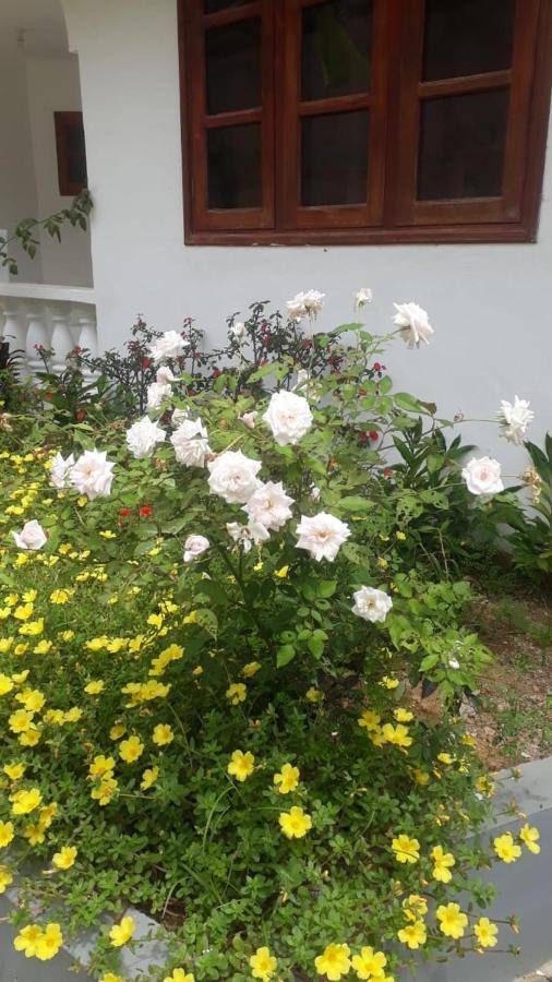 Ogumka, Self Catering , Beoliere, Mahe Hotel Victoria Kültér fotó