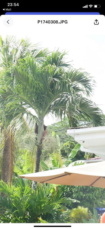 Ogumka, Self Catering , Beoliere, Mahe Hotel Victoria Kültér fotó