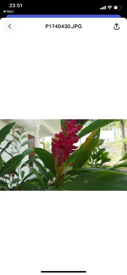 Ogumka, Self Catering , Beoliere, Mahe Hotel Victoria Kültér fotó